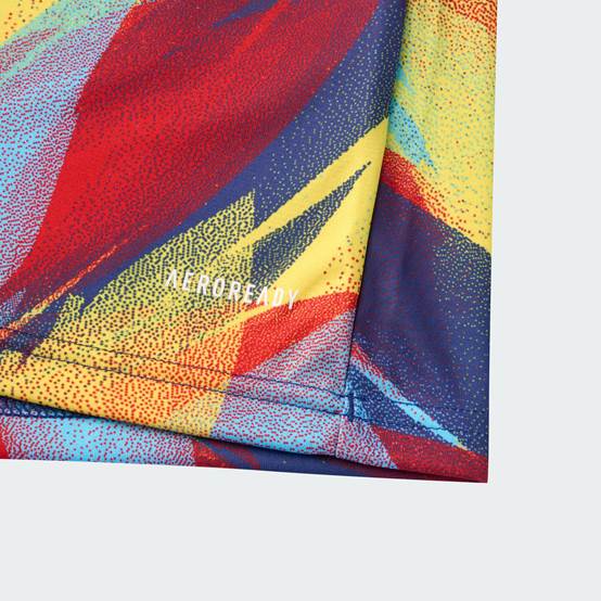 Arsenal Adult Pre-Match Jersey 25/26